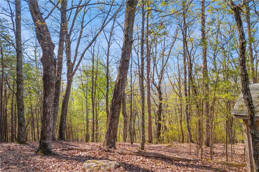Eagle Ridge Trail, Cleveland, Georgia image 13