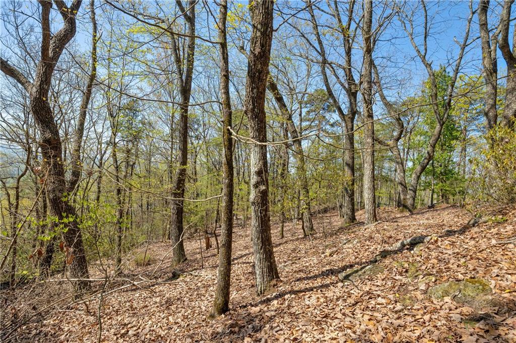 Eagle Ridge Trail, Cleveland, Georgia image 12