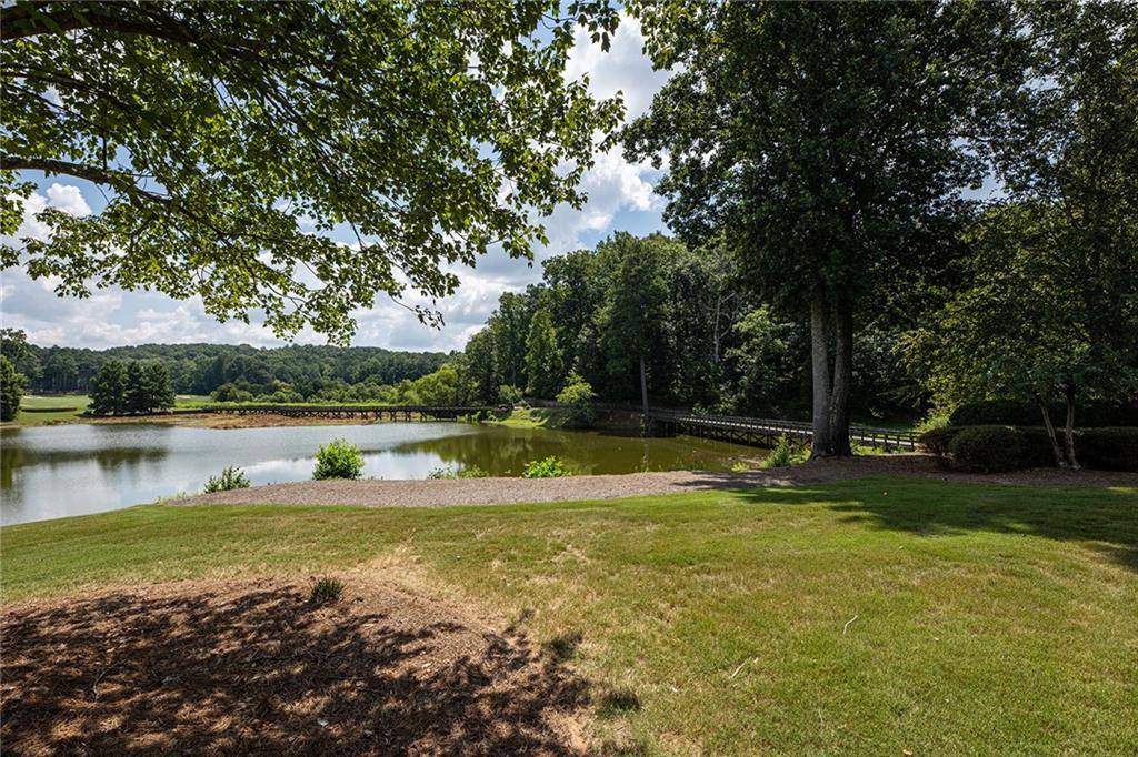 1005 Overlook Terrace, Ball Ground, Georgia image 40