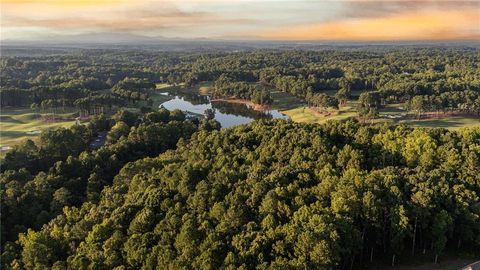 1005 Overlook Terrace Ball Ground GA 30107