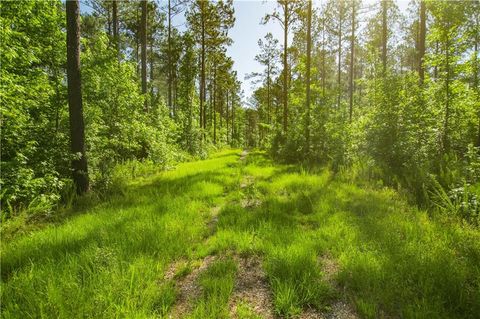 Vacant Land For Sale - Weaver Jones Road<br/> Morgan County, Rutledge, GA 30663