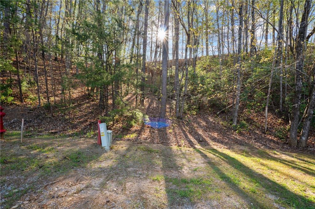 47 Dache Brucke Strasse, Helen, Georgia image 3