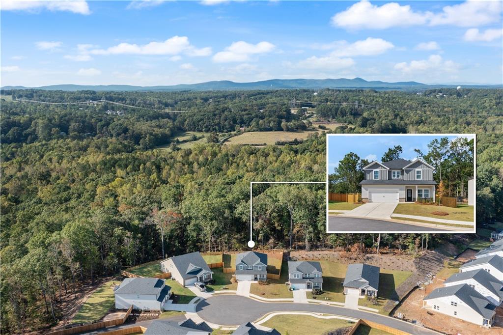 Towne Mill - Residential