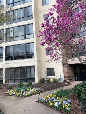 1800 CLAIRMONT LK UNIT 301, DECATUR, GA 30033 - Image eb7e7d5e0dbae8d9bae917d0c3f4ccc0/905123362