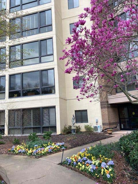 Photo of 1800 Clairmont Lake #301, Decatur, GA 30033 (MLS # 7825611)