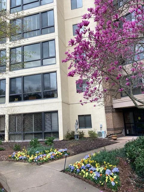 1800 Clairmont Lake Unit 301