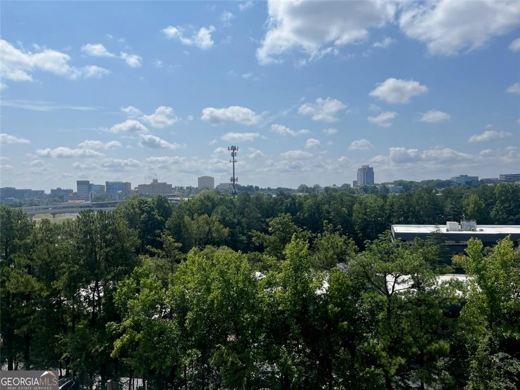 795 Hammond Drive #806, Sandy Springs, Georgia image 9