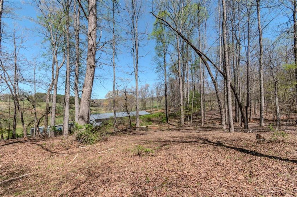 13.75A Tipton Springs Road, Morganton, Georgia image 10