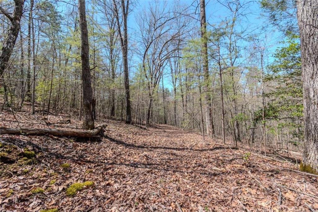 13.75A Tipton Springs Road, Morganton, Georgia image 41