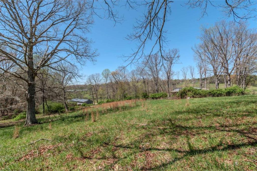 13.75A Tipton Springs Road, Morganton, Georgia image 36
