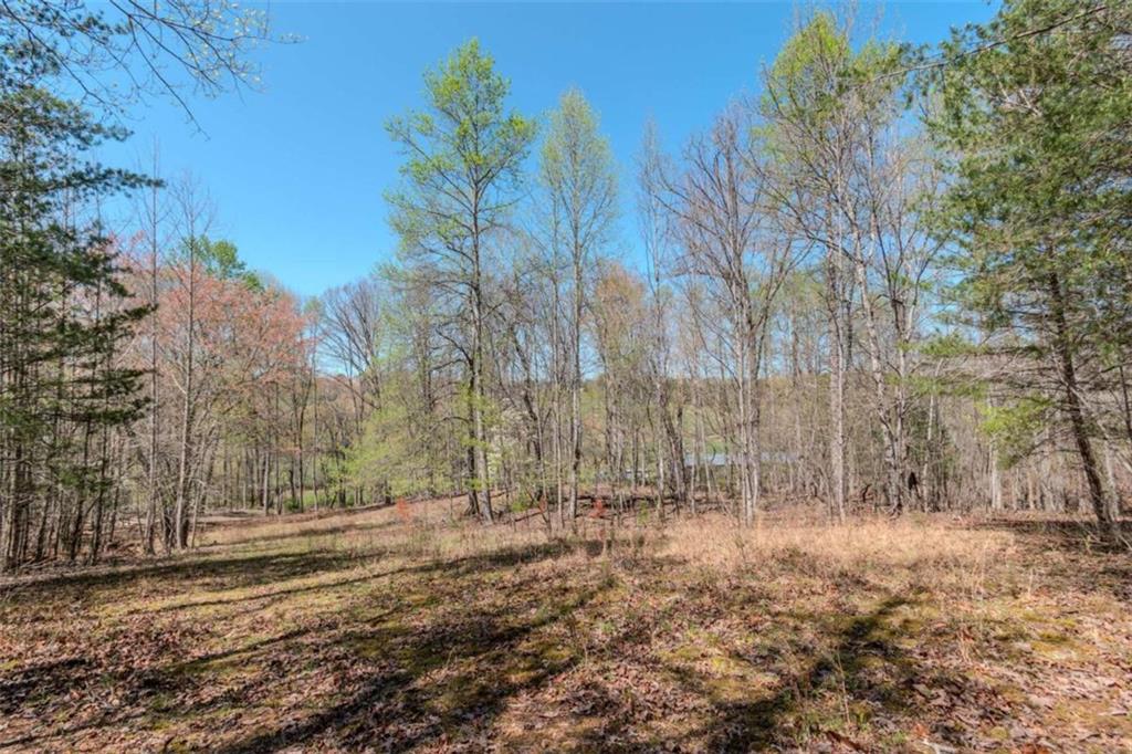 13.75A Tipton Springs Road, Morganton, Georgia image 44