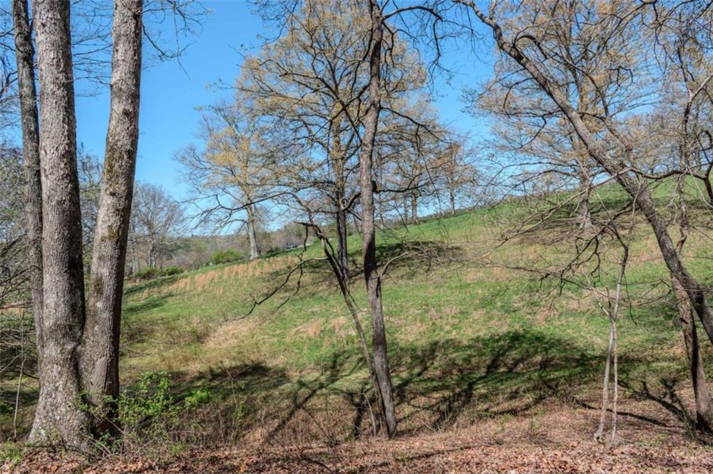13.75A Tipton Springs Road, Morganton, Georgia image 50