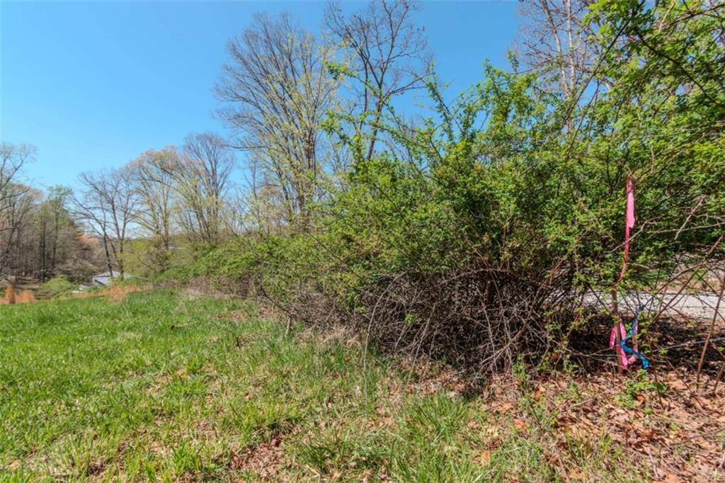 13.75A Tipton Springs Road, Morganton, Georgia image 47