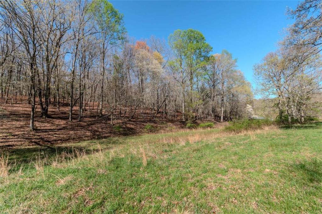 13.75A Tipton Springs Road, Morganton, Georgia image 3