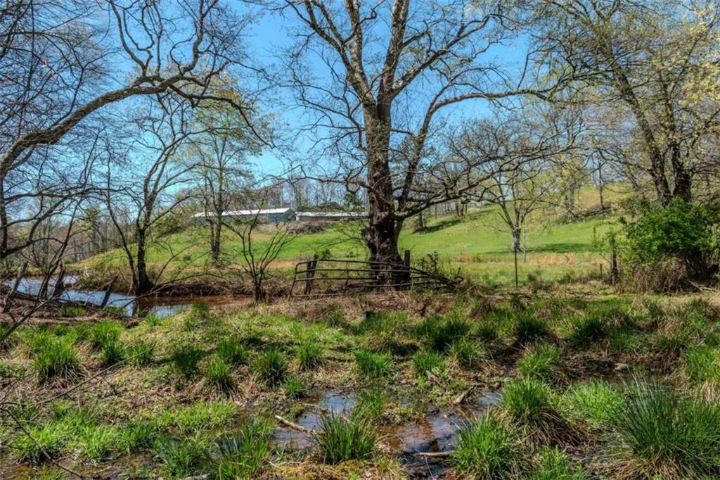 13.75A Tipton Springs Road, Morganton, Georgia image 12