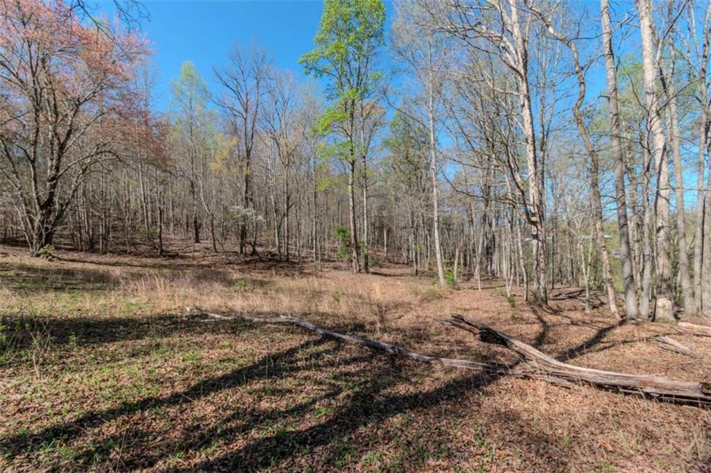 13.75A Tipton Springs Road, Morganton, Georgia image 24