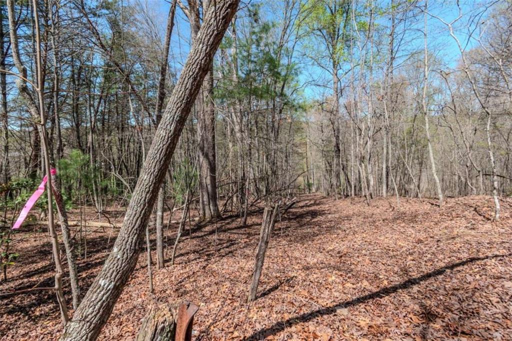 13.75A Tipton Springs Road, Morganton, Georgia image 40