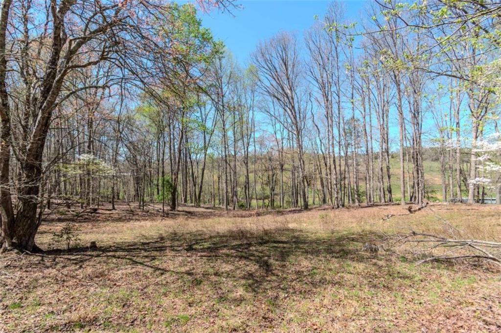13.75A Tipton Springs Road, Morganton, Georgia image 11