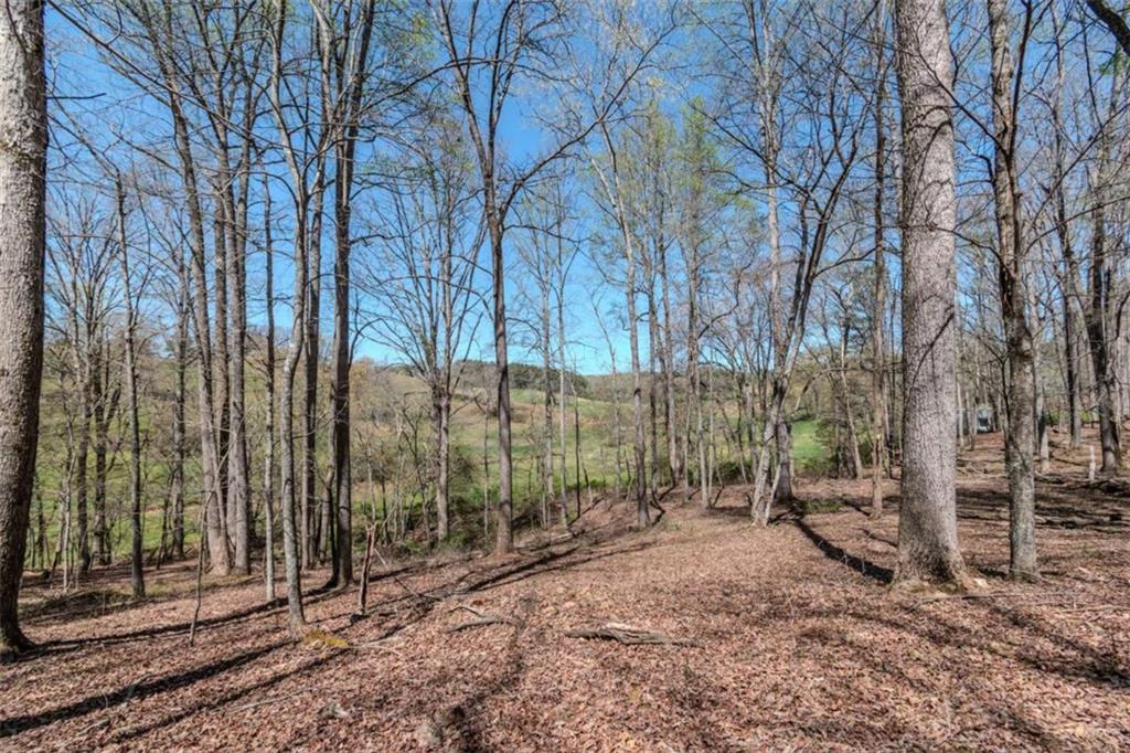 13.75A Tipton Springs Road, Morganton, Georgia image 42