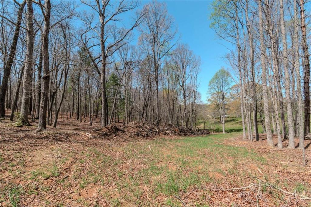 13.75A Tipton Springs Road, Morganton, Georgia image 28