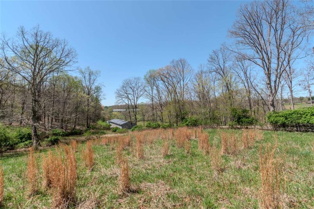 13.75A Tipton Springs Road, Morganton, Georgia image 34
