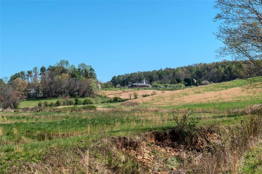 13.75A Tipton Springs Road, Morganton, Georgia image 8