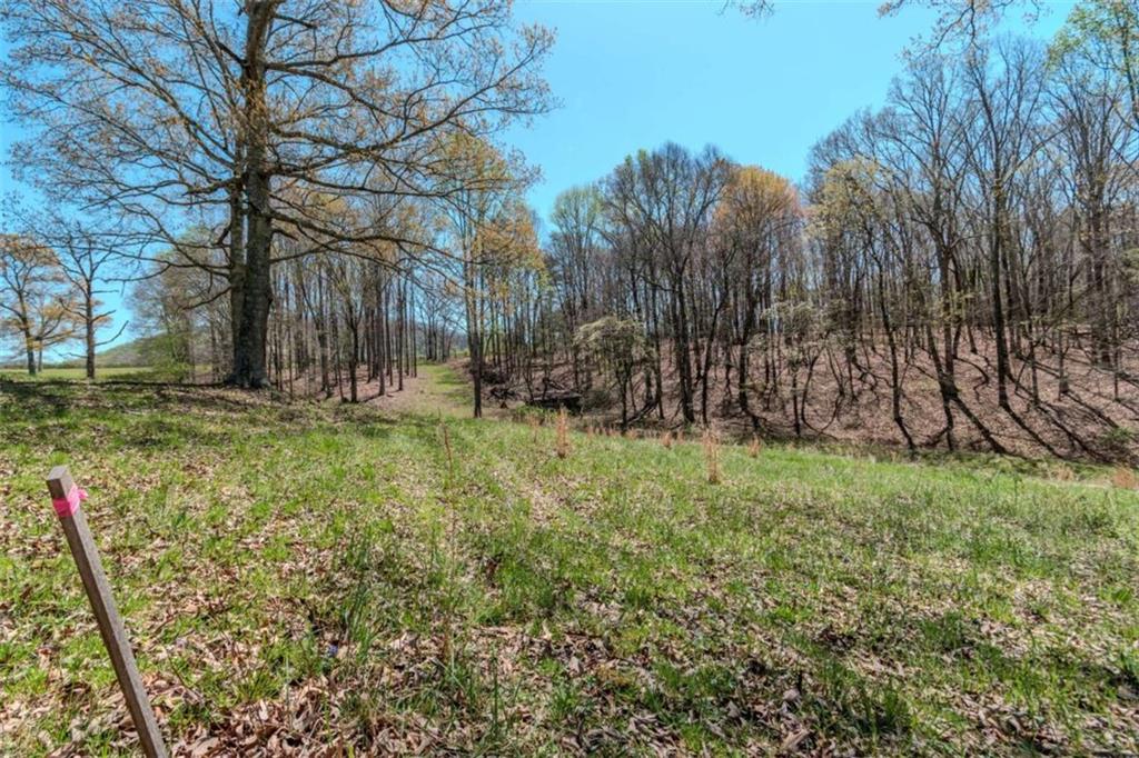 13.75A Tipton Springs Road, Morganton, Georgia image 9