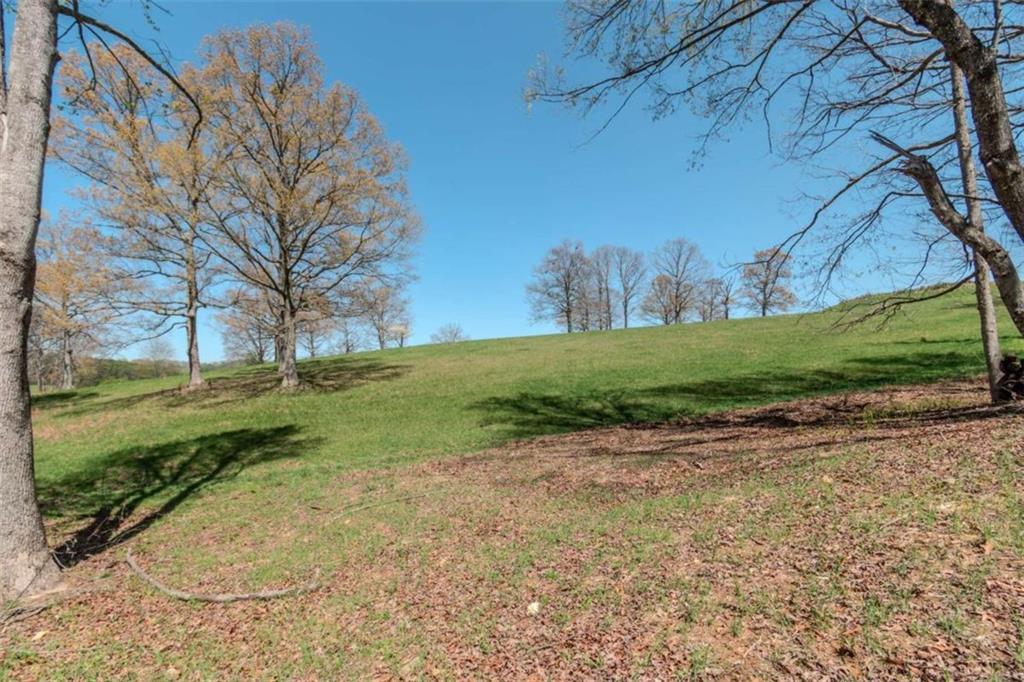 13.75A Tipton Springs Road, Morganton, Georgia image 30