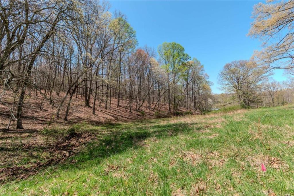 13.75A Tipton Springs Road, Morganton, Georgia image 5