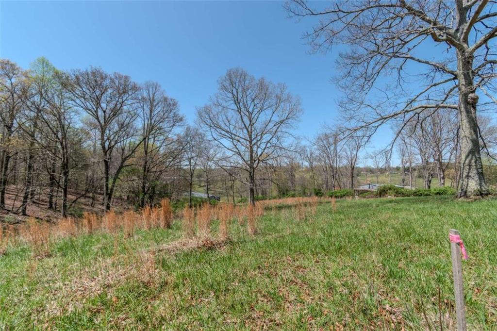 13.75A Tipton Springs Road, Morganton, Georgia image 7