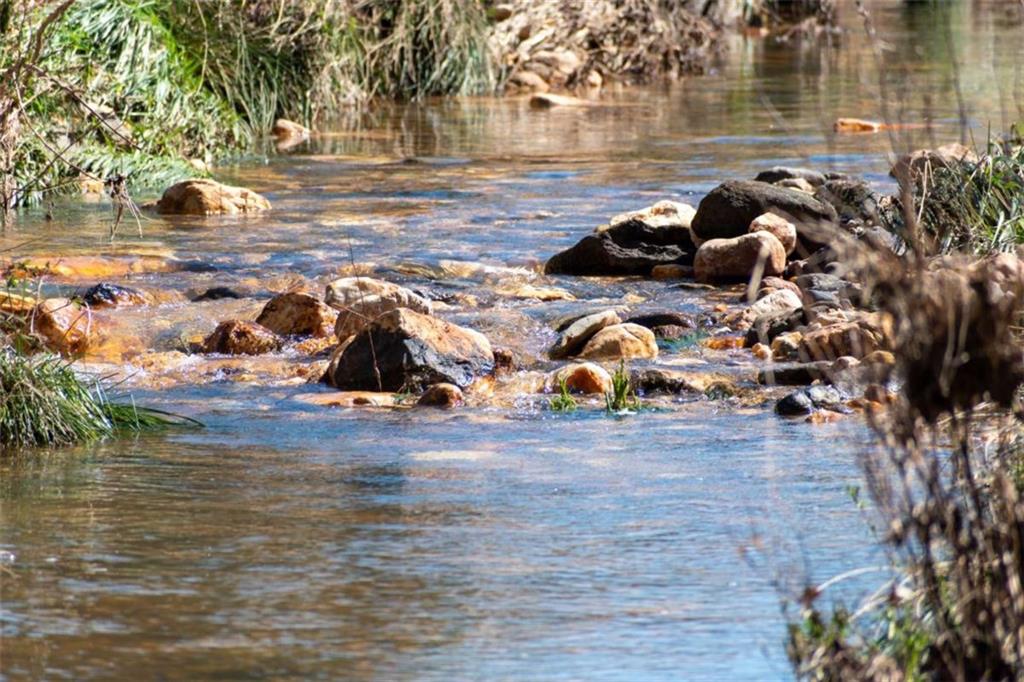 13.75A Tipton Springs Road, Morganton, Georgia image 21