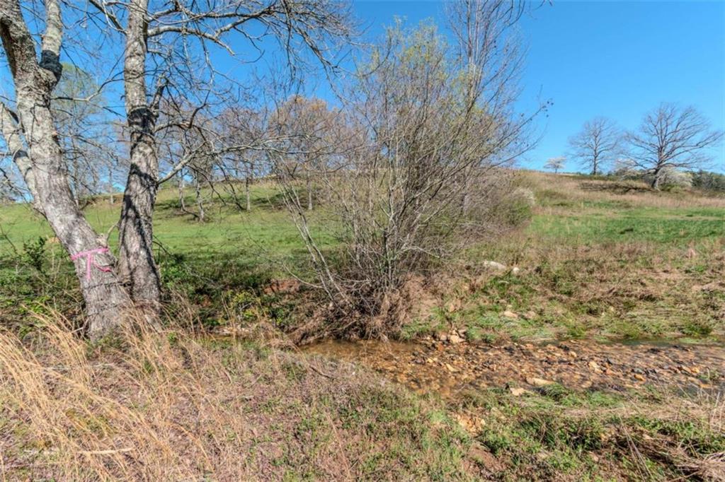 13.75A Tipton Springs Road, Morganton, Georgia image 23