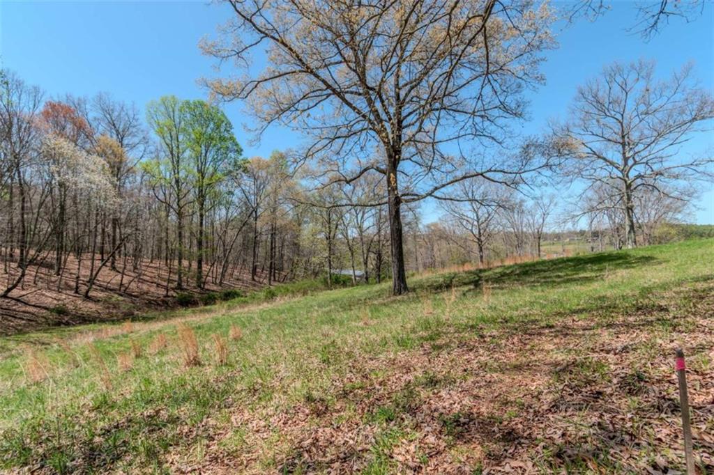 13.75A Tipton Springs Road, Morganton, Georgia image 35
