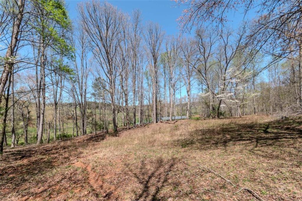13.75A Tipton Springs Road, Morganton, Georgia image 43