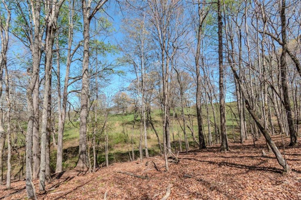 13.75A Tipton Springs Road, Morganton, Georgia image 49