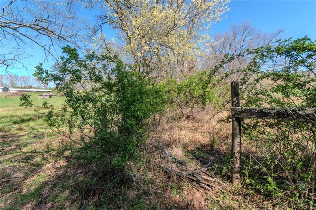 13.75A Tipton Springs Road, Morganton, Georgia image 14