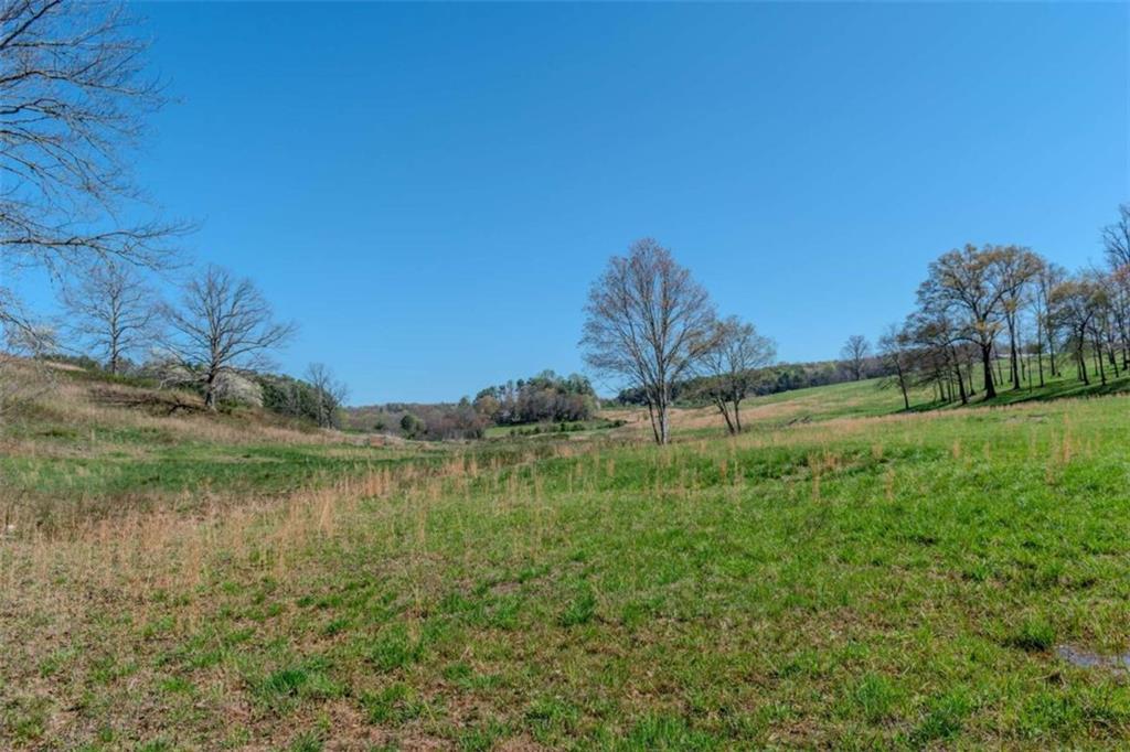13.75A Tipton Springs Road, Morganton, Georgia image 6