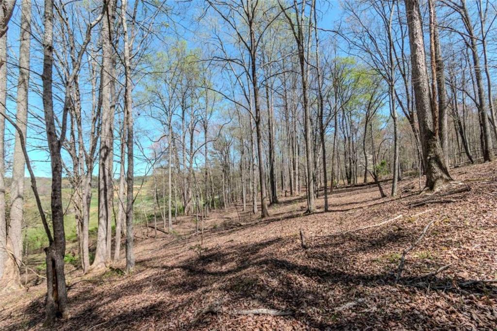 13.75A Tipton Springs Road, Morganton, Georgia image 39