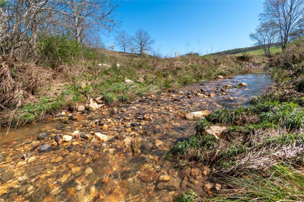 13.75A Tipton Springs Road, Morganton, Georgia image 1