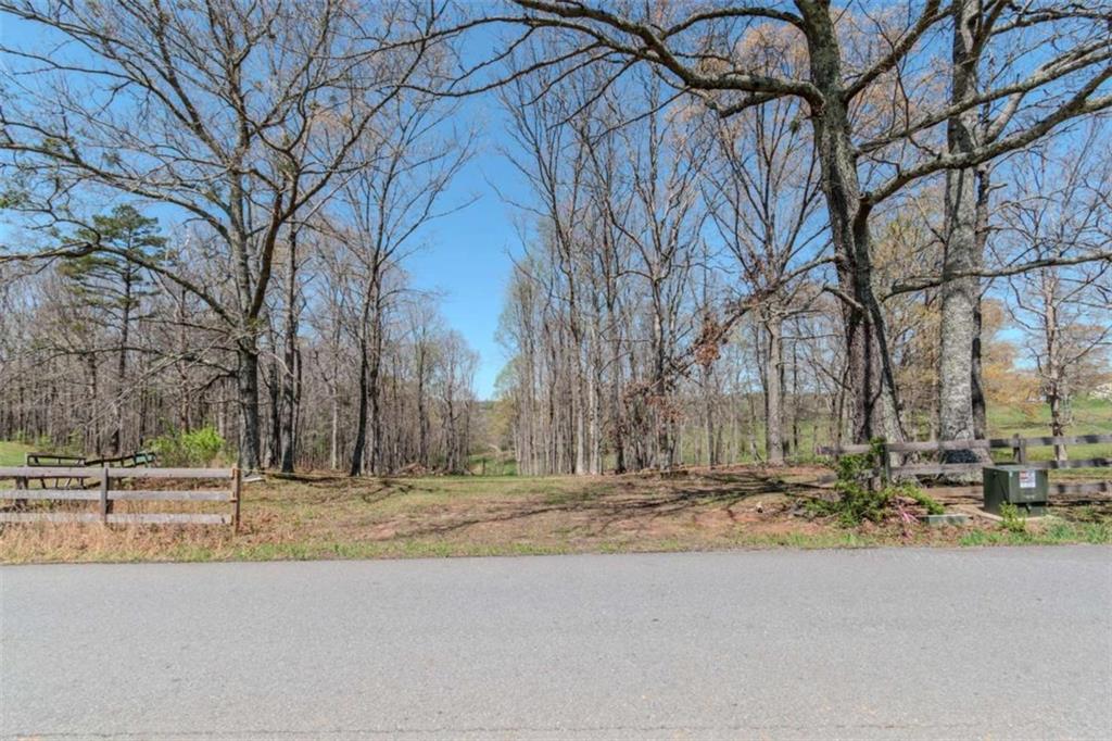 13.75A Tipton Springs Road, Morganton, Georgia image 4