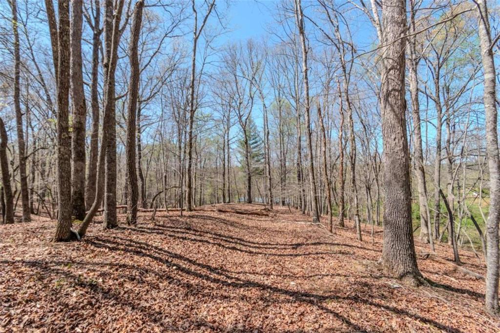 13.75A Tipton Springs Road, Morganton, Georgia image 46