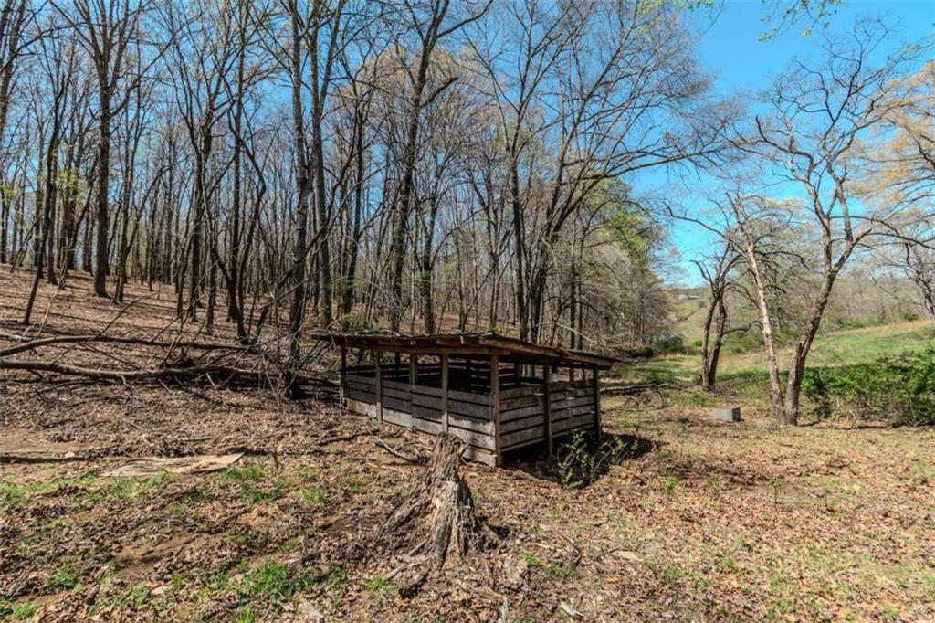 13.75A Tipton Springs Road, Morganton, Georgia image 18