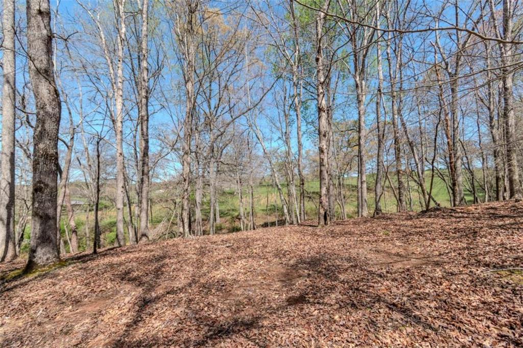 13.75A Tipton Springs Road, Morganton, Georgia image 45