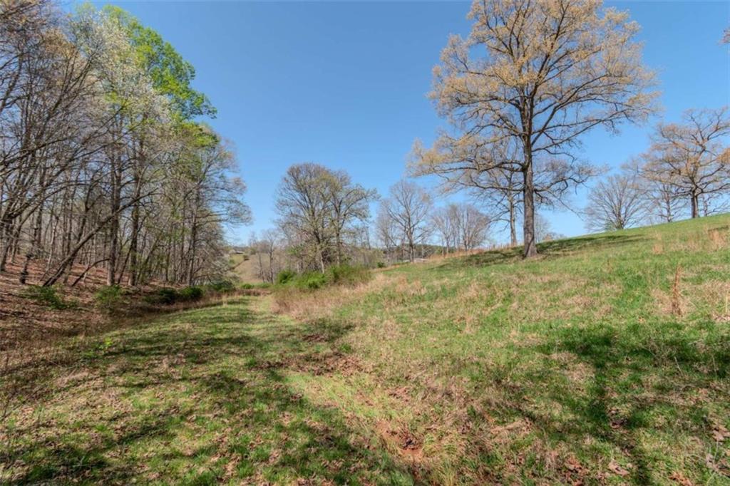 13.75A Tipton Springs Road, Morganton, Georgia image 31