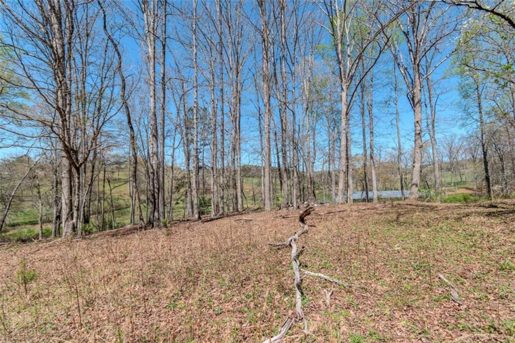 13.75A Tipton Springs Road, Morganton, Georgia image 38