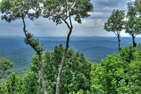 A home in Ellijay