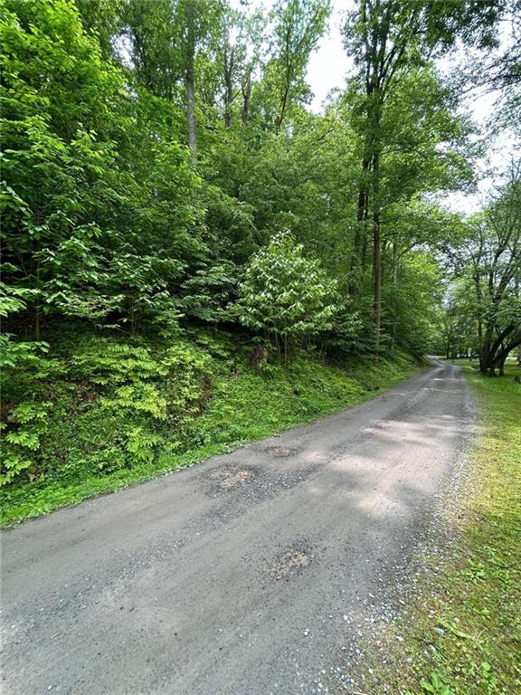 LT244 Cherokee Drive, Ellijay, Georgia image 3