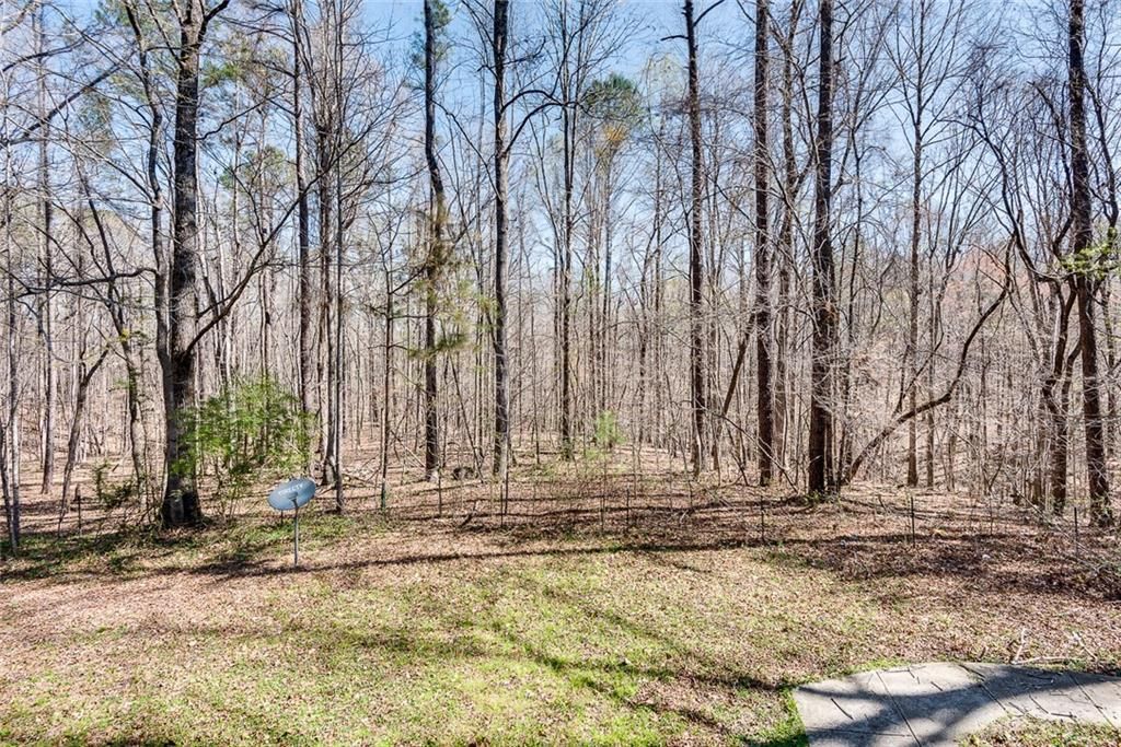 listing image 45