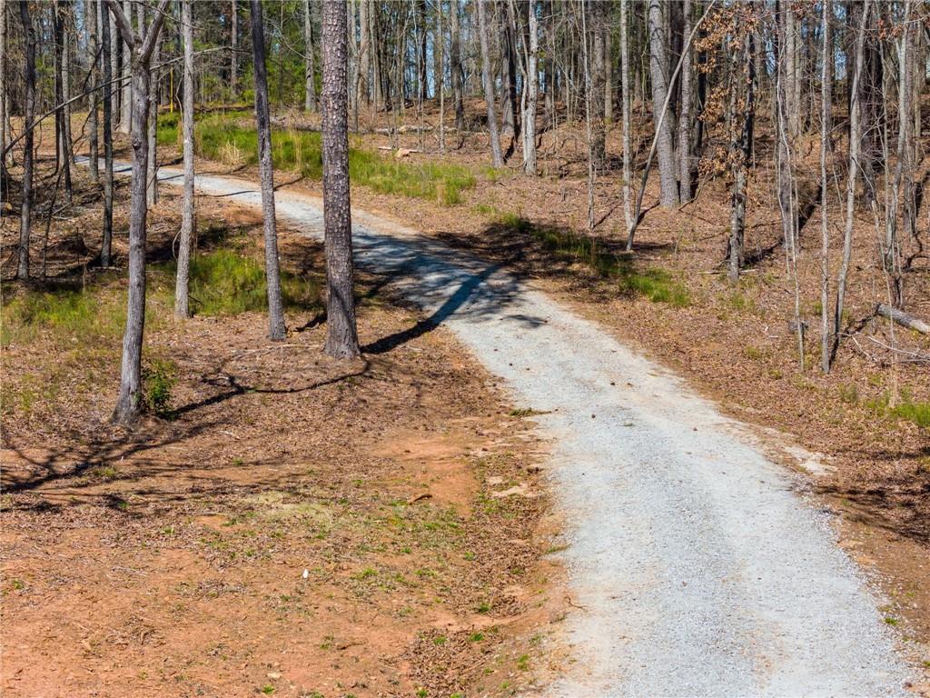921 Dowdy Road, Roopville, Georgia image 39