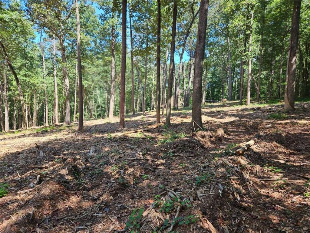 00 Whitetail Ridge Tract 2, Dawsonville, Georgia image 3